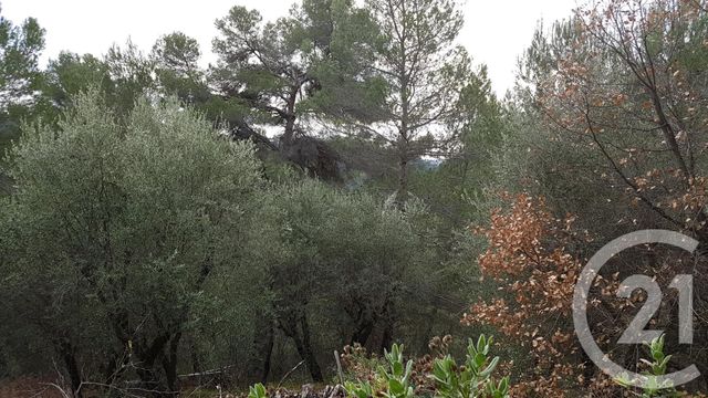 Terrain &agrave; vendre - 3764 m2 - Colomars - 06 - PROVENCE-ALPES-COTE-D-AZUR