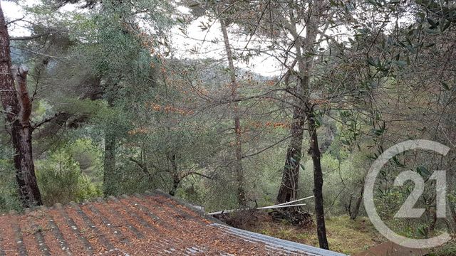 Terrain &agrave; vendre - 3764 m2 - Colomars - 06 - PROVENCE-ALPES-COTE-D-AZUR