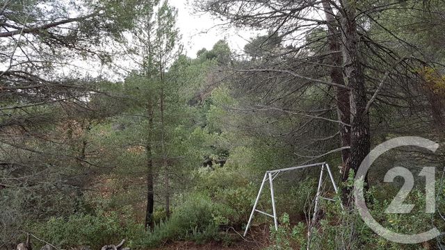 Terrain &agrave; vendre - 3764 m2 - Colomars - 06 - PROVENCE-ALPES-COTE-D-AZUR