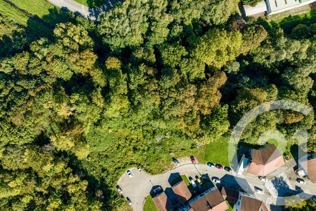 Terrain &agrave; vendre - 1154 m2 - Noyarey - 38 - RHONE-ALPES