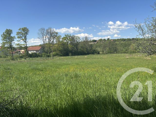 Terrain &agrave; vendre - 3078 m2 - Chenebier - 70 - FRANCHE-COMTE
