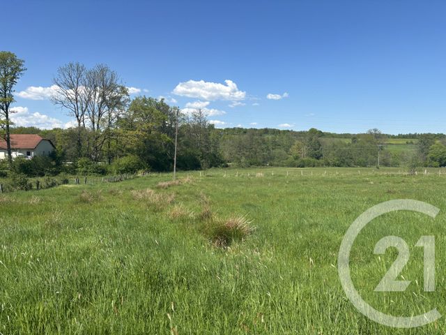 Terrain &agrave; vendre - 3078 m2 - Chenebier - 70 - FRANCHE-COMTE