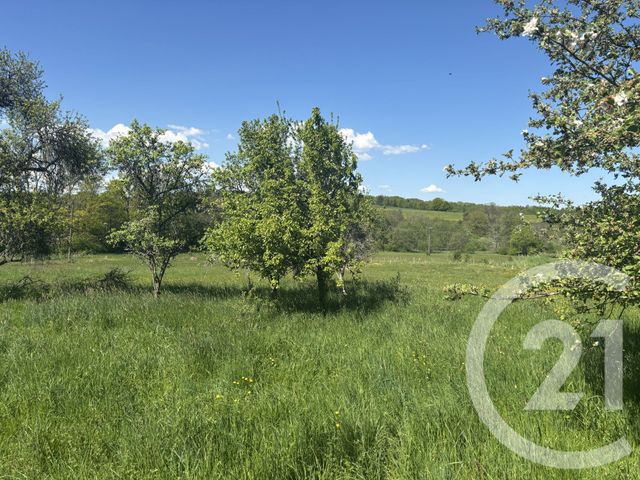 Terrain &agrave; vendre - 2080 m2 - Chenebier - 70 - FRANCHE-COMTE