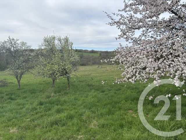 Terrain &agrave; vendre - 2080 m2 - Chenebier - 70 - FRANCHE-COMTE
