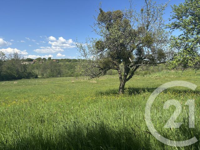 Terrain &agrave; vendre - 2080 m2 - Chenebier - 70 - FRANCHE-COMTE