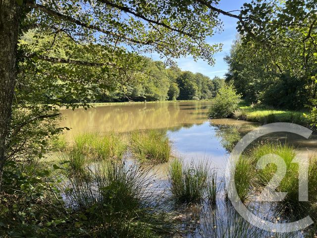 Terrain &agrave; vendre - 21513 m2 - Frahier Et Chatebier - 70 - FRANCHE-COMTE