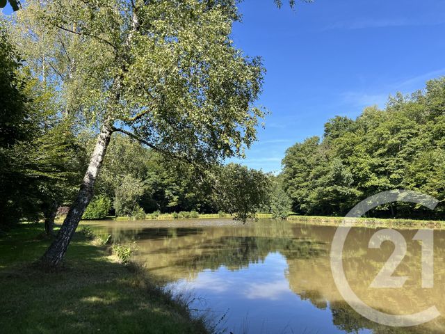 Terrain &agrave; vendre - 21513 m2 - Frahier Et Chatebier - 70 - FRANCHE-COMTE