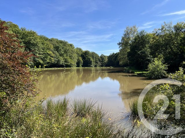 Terrain &agrave; vendre - 21513 m2 - Frahier Et Chatebier - 70 - FRANCHE-COMTE