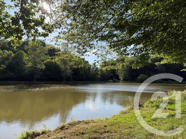 Terrain &agrave; vendre - 21513 m2 - Frahier Et Chatebier - 70 - FRANCHE-COMTE