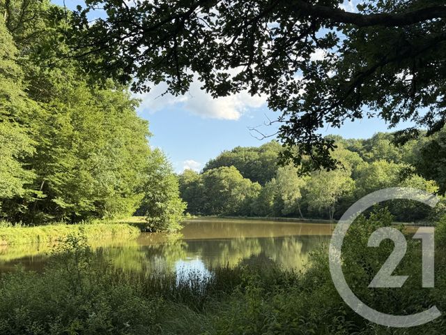 Terrain &agrave; vendre - 21513 m2 - Frahier Et Chatebier - 70 - FRANCHE-COMTE