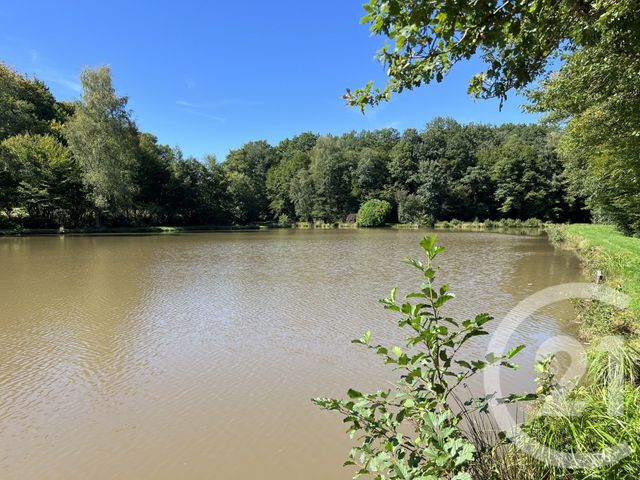 Terrain &agrave; vendre - 21513 m2 - Frahier Et Chatebier - 70 - FRANCHE-COMTE