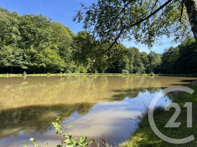 Terrain &agrave; vendre - 21513 m2 - Frahier Et Chatebier - 70 - FRANCHE-COMTE