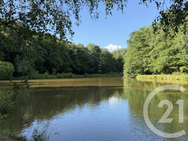Terrain &agrave; vendre - 21513 m2 - Frahier Et Chatebier - 70 - FRANCHE-COMTE