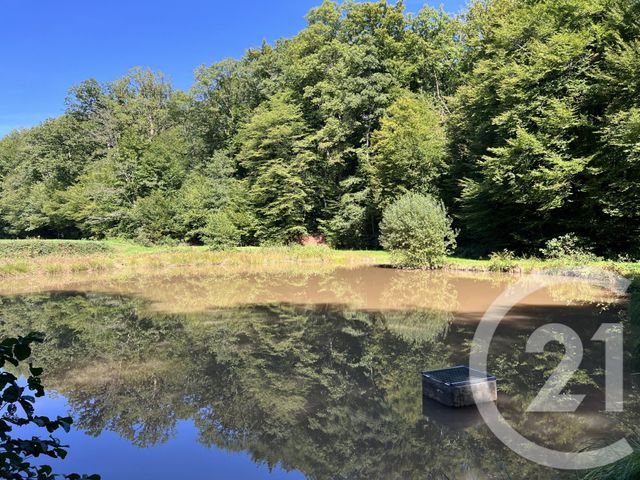 Terrain &agrave; vendre - 21513 m2 - Frahier Et Chatebier - 70 - FRANCHE-COMTE