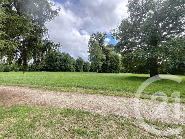 Maison &agrave; vendre - 7 pi&egrave;ces - 467 m2 - Le Baizil - 51 - CHAMPAGNE-ARDENNE