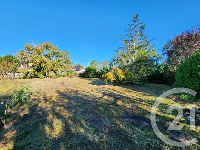 Terrain à vendre - 880 m2 - La Teste De Buch - 33 - AQUITAINE