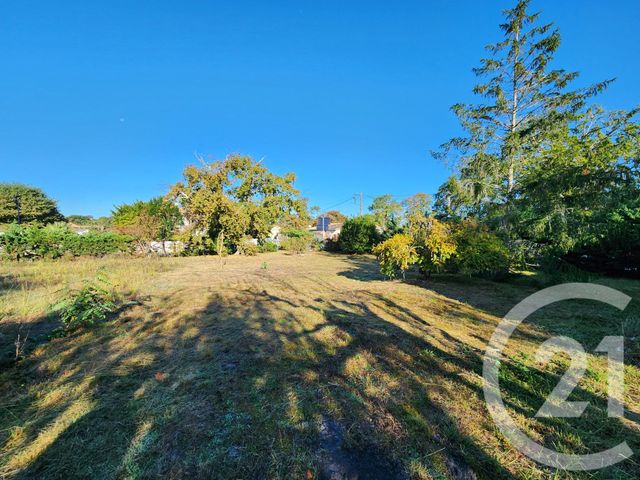 Terrain à vendre - 800 m2 - La Teste De Buch - 33 - AQUITAINE