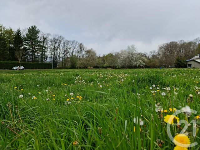 Terrain &agrave; vendre - 3119 m2 - Escala - 65 - MIDI-PYRENEES