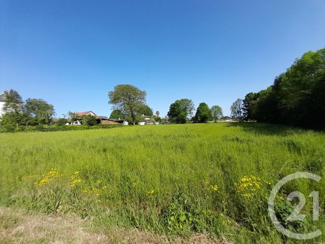 Terrain &agrave; vendre - 4904 m2 - Capvern Les Bains - 65 - MIDI-PYRENEES