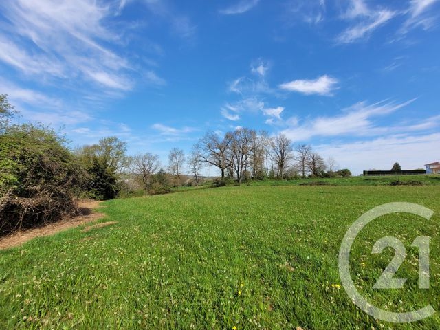 Terrain &agrave; vendre - 8595 m2 - Castelbajac - 65 - MIDI-PYRENEES