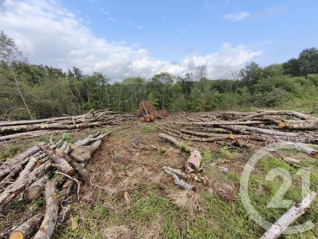 Terrain &agrave; vendre - 2360 m2 - Capvern - 65 - MIDI-PYRENEES