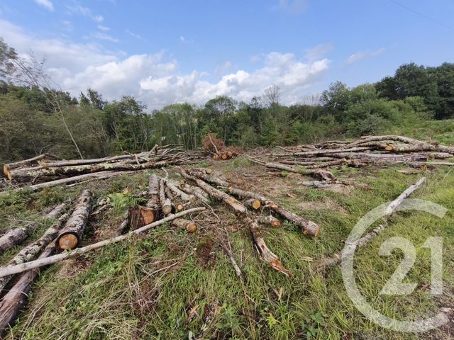 Terrain &agrave; vendre - 2360 m2 - Capvern - 65 - MIDI-PYRENEES