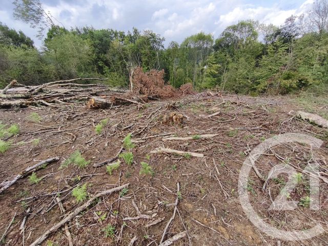 Terrain &agrave; vendre - 2360 m2 - Capvern - 65 - MIDI-PYRENEES