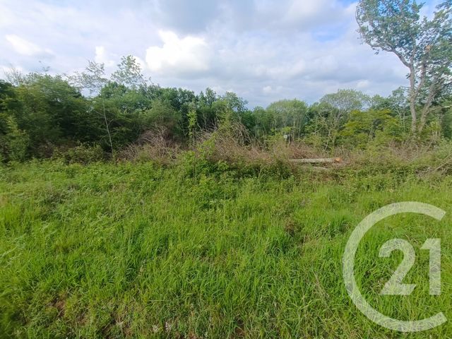 Terrain &agrave; vendre - 2360 m2 - Capvern - 65 - MIDI-PYRENEES
