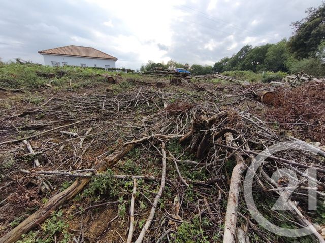 Terrain &agrave; vendre - 2360 m2 - Capvern - 65 - MIDI-PYRENEES