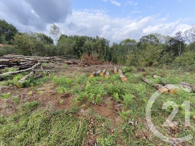 terrain - CAPVERN - 65