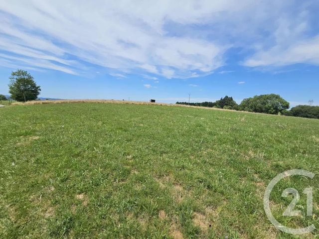 Terrain &agrave; vendre - 3351 m2 - Tilhouse - 65 - MIDI-PYRENEES