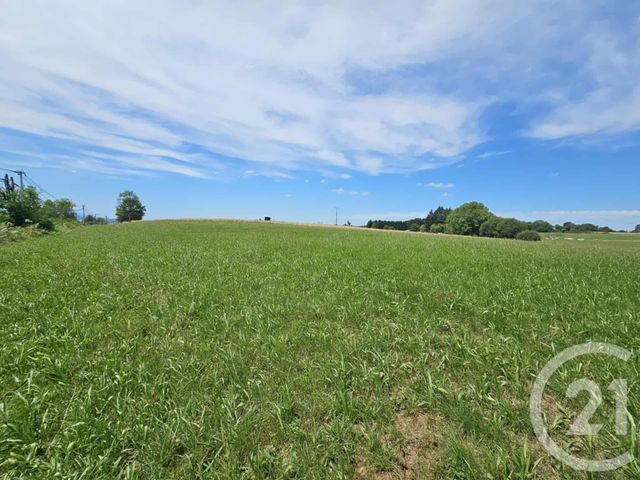 Terrain &agrave; vendre - 3351 m2 - Tilhouse - 65 - MIDI-PYRENEES