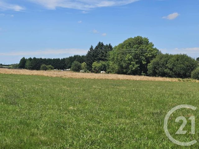 Terrain &agrave; vendre - 3351 m2 - Tilhouse - 65 - MIDI-PYRENEES