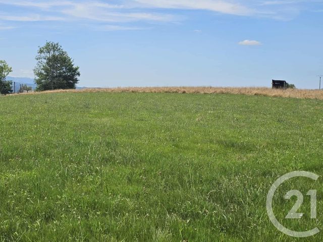 Terrain &agrave; vendre - 3351 m2 - Tilhouse - 65 - MIDI-PYRENEES