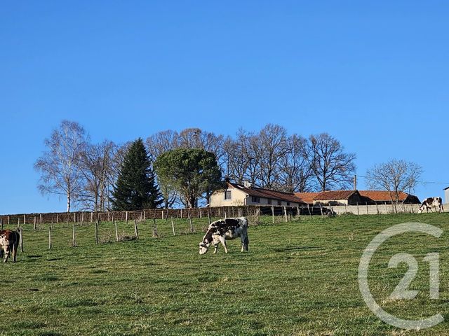 Maison &agrave; vendre - 4 pi&egrave;ces - 180 m2 - Villeneuve Lecussan - 31 - MIDI-PYRENEES