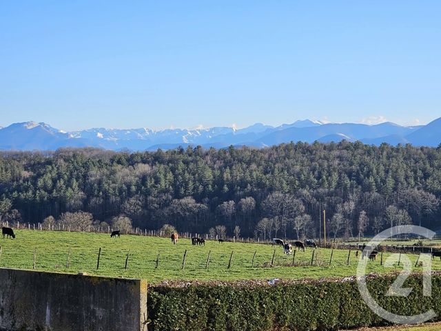 Maison &agrave; vendre - 4 pi&egrave;ces - 180 m2 - Villeneuve Lecussan - 31 - MIDI-PYRENEES