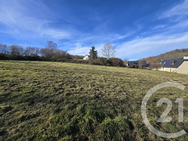 Terrain &agrave; vendre - 6698 m2 - Avezac Prat Lahitte - 65 - MIDI-PYRENEES