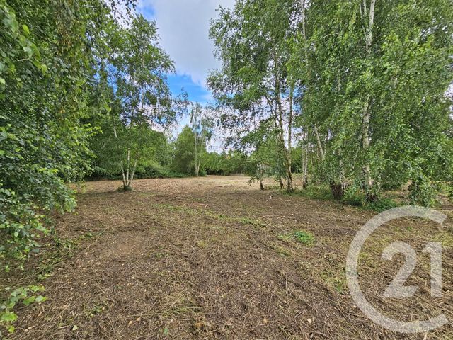 terrain - LANNEMEZAN - 65