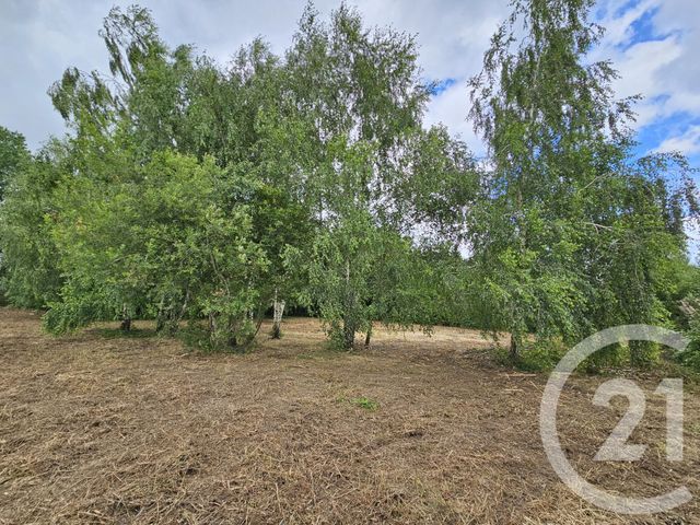 Terrain &agrave; vendre - 2275 m2 - Lannemezan - 65 - MIDI-PYRENEES