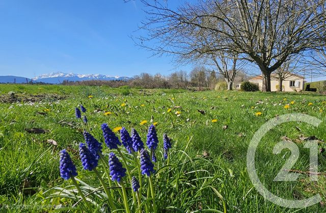 Maison &agrave; vendre - 4 pi&egrave;ces - 107,33 m2 - Villeneuve Lecussan - 31 - MIDI-PYRENEES
