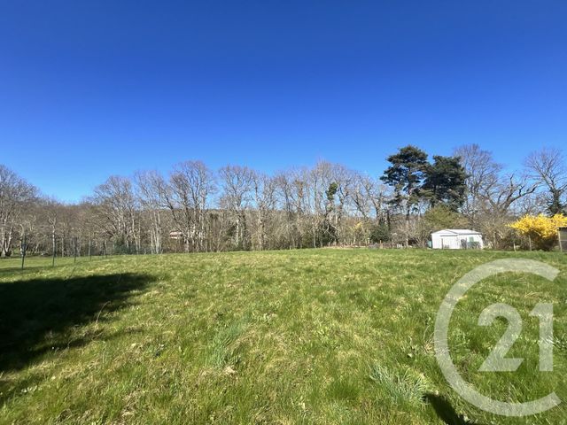 Terrain &agrave; vendre - 3970 m2 - St Paul - 65 - MIDI-PYRENEES