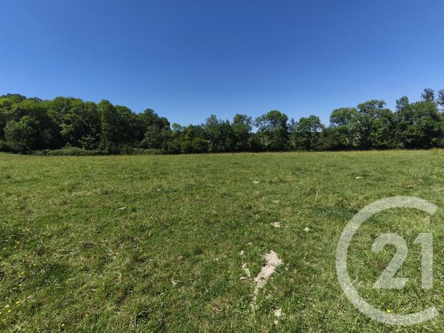 Terrain &agrave; vendre - 14550 m2 - Thermes Magnoac - 65 - MIDI-PYRENEES