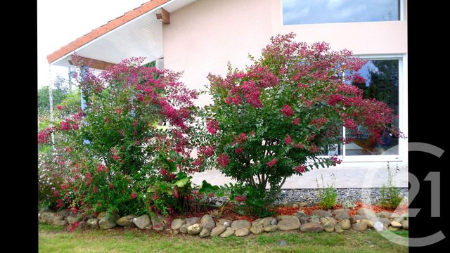 Maison &agrave; vendre - 6 pi&egrave;ces - 146,31 m2 - Capvern - 65 - MIDI-PYRENEES