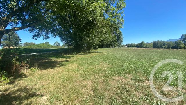 Terrain &agrave; vendre - 3904 m2 - Tilhouse - 65 - MIDI-PYRENEES