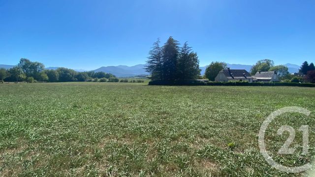 Terrain &agrave; vendre - 3904 m2 - Tilhouse - 65 - MIDI-PYRENEES