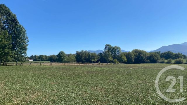 Terrain &agrave; vendre - 3904 m2 - Tilhouse - 65 - MIDI-PYRENEES