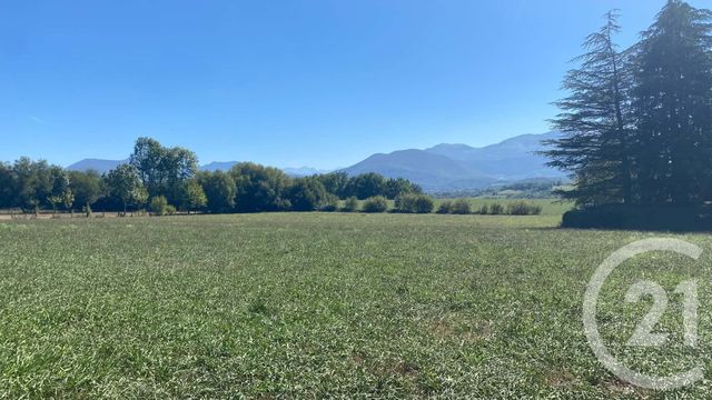 Terrain &agrave; vendre - 3904 m2 - Tilhouse - 65 - MIDI-PYRENEES