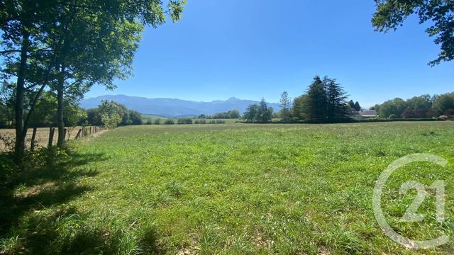 Terrain &agrave; vendre - 3904 m2 - Tilhouse - 65 - MIDI-PYRENEES