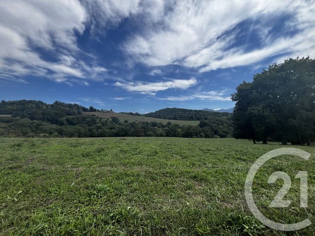 Terrain &agrave; vendre - 2650 m2 - Benque Molere - 65 - MIDI-PYRENEES