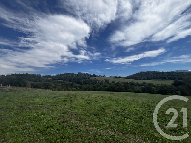 Terrain &agrave; vendre - 2650 m2 - Benque Molere - 65 - MIDI-PYRENEES